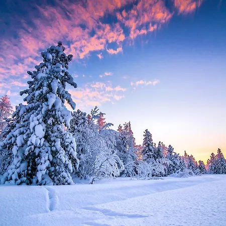 La Tgoma - Hotel&restaurant 3* Lenz